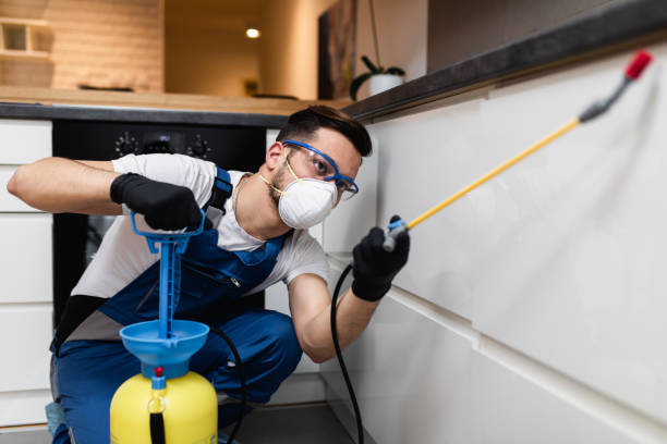 Best Affordable Pest Control Services  in Lindale, TX