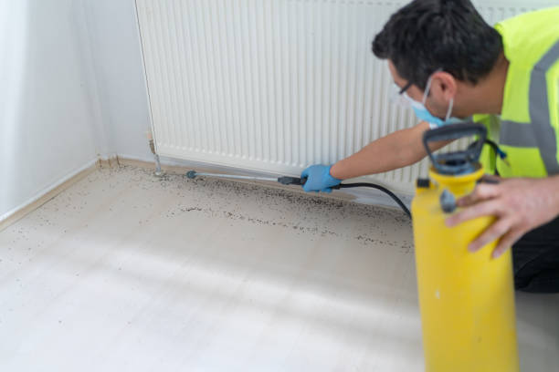 Best Flea Control Services  in Lindale, TX